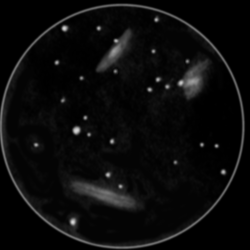 Leo triplett