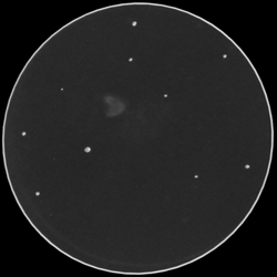 NGC4038-9